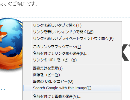 Search By Image (by Google) (4)